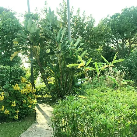 Apartment Beautiful, Bright And Spacious Duplex In Marbella