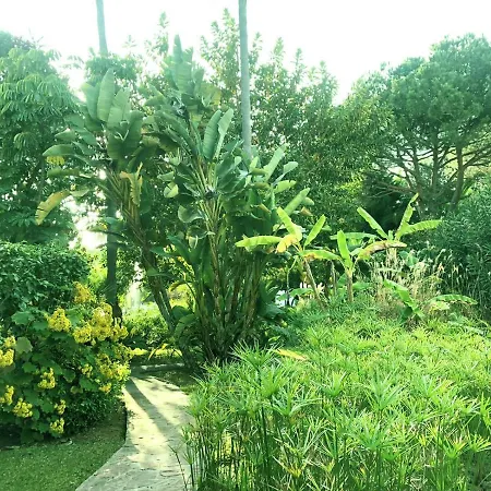 Apartment Beautiful, Bright And Spacious Duplex In Marbella