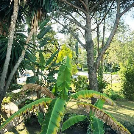 Apartment Beautiful, Bright And Spacious Duplex In Marbella Estepona